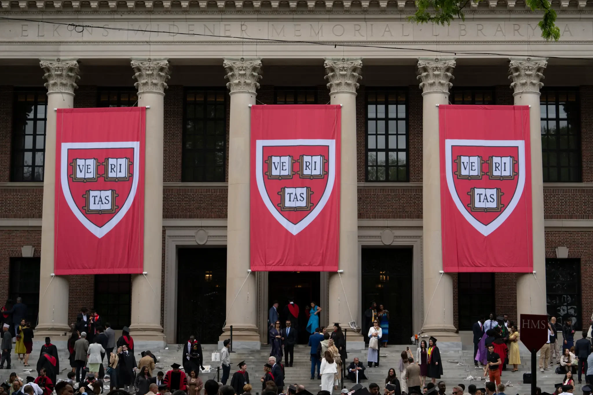 Harvard vizası olmayan tələbələrə alternativ təklif edir