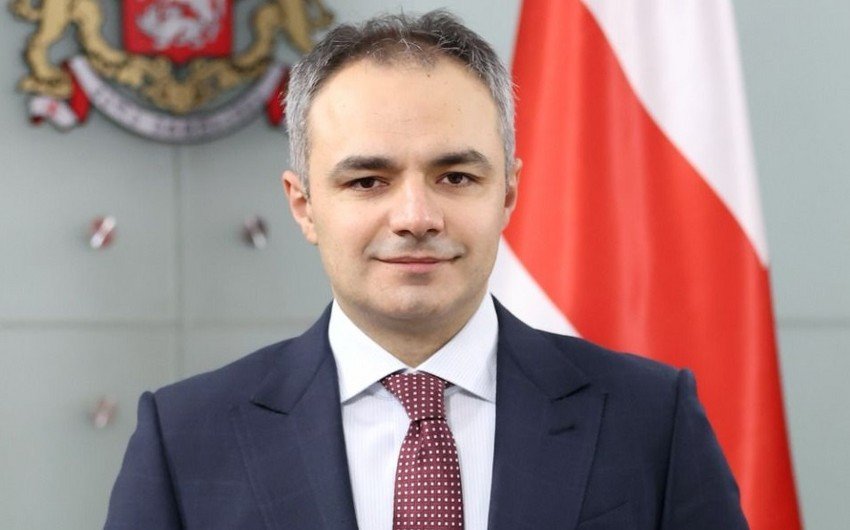 Gürcüstanın yeni təhsil naziri təyin edilib - YENİLƏNİB